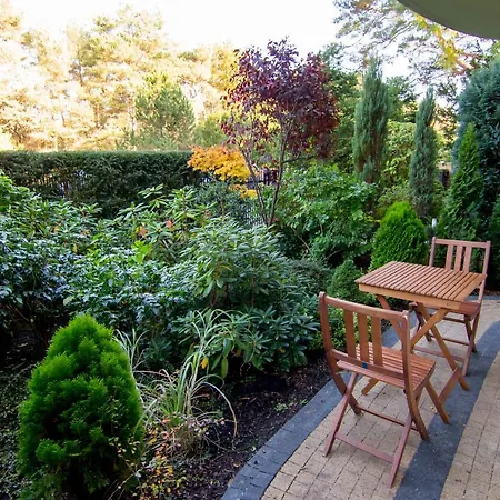 - Zeromskiego *